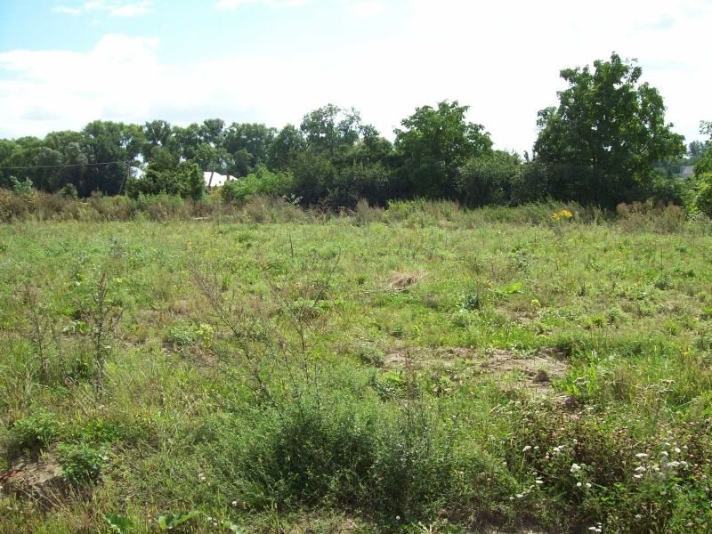 Działka inwestycyjna na sprzedaż Wrocław, Krzyki, ok. ul Opolskiej 2 000m2 Foto 1 Działka inwestycyjna na sprzedaż Wrocław, Krzyki, ok. ul Opolskiej 2 000m2 Foto 1