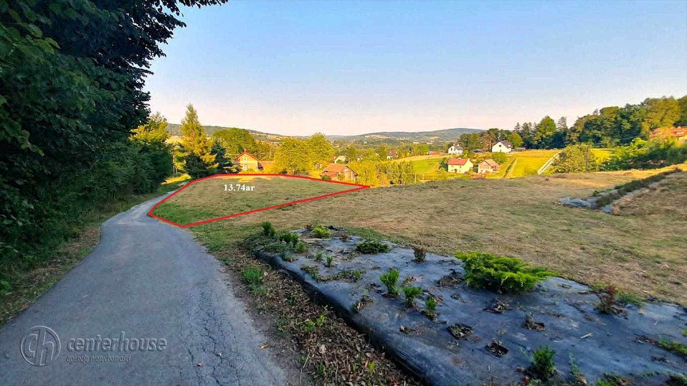 Sprzedam działkę 13,74 ar z pięknym widokiem w Czudeckim Przedmieście Czudeckie  1 374m2 Foto 1
