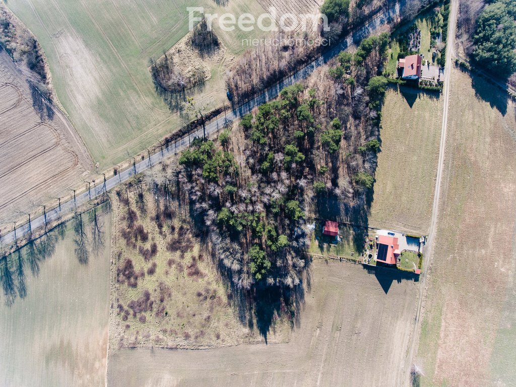 Działka budowlana na sprzedaż Radomice  993m2 Foto 18