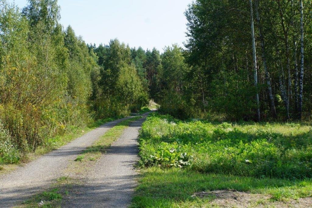 Działka budowlana na sprzedaż Michałów, Gościniec  4 000m2 Foto 3