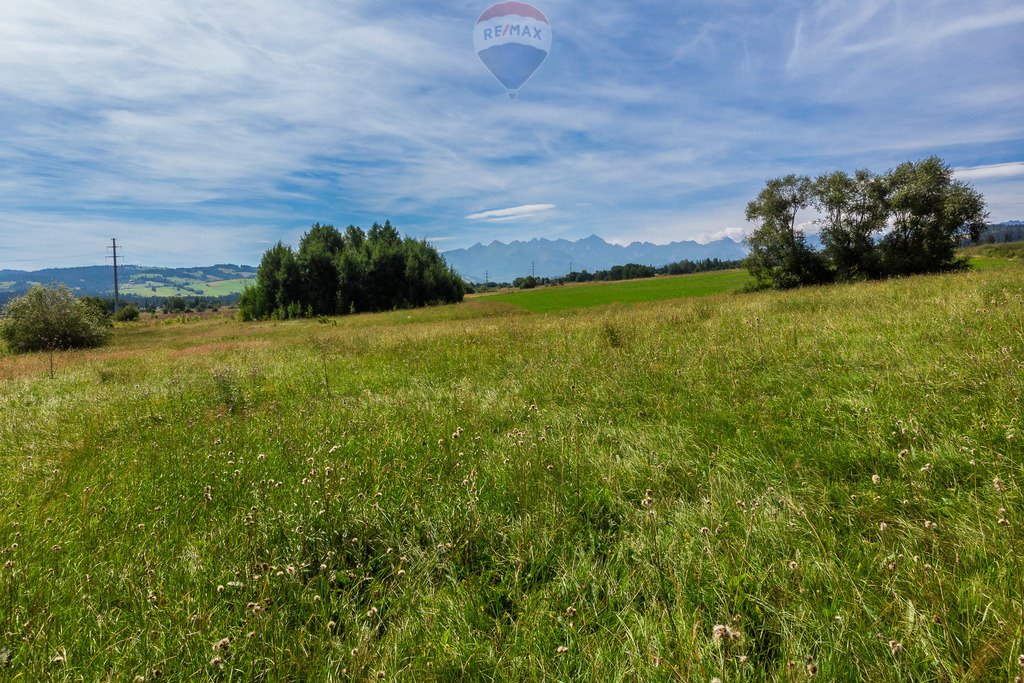 Działka rolna na sprzedaż Groń, Kobylarzówka  17 000m2 Foto 19