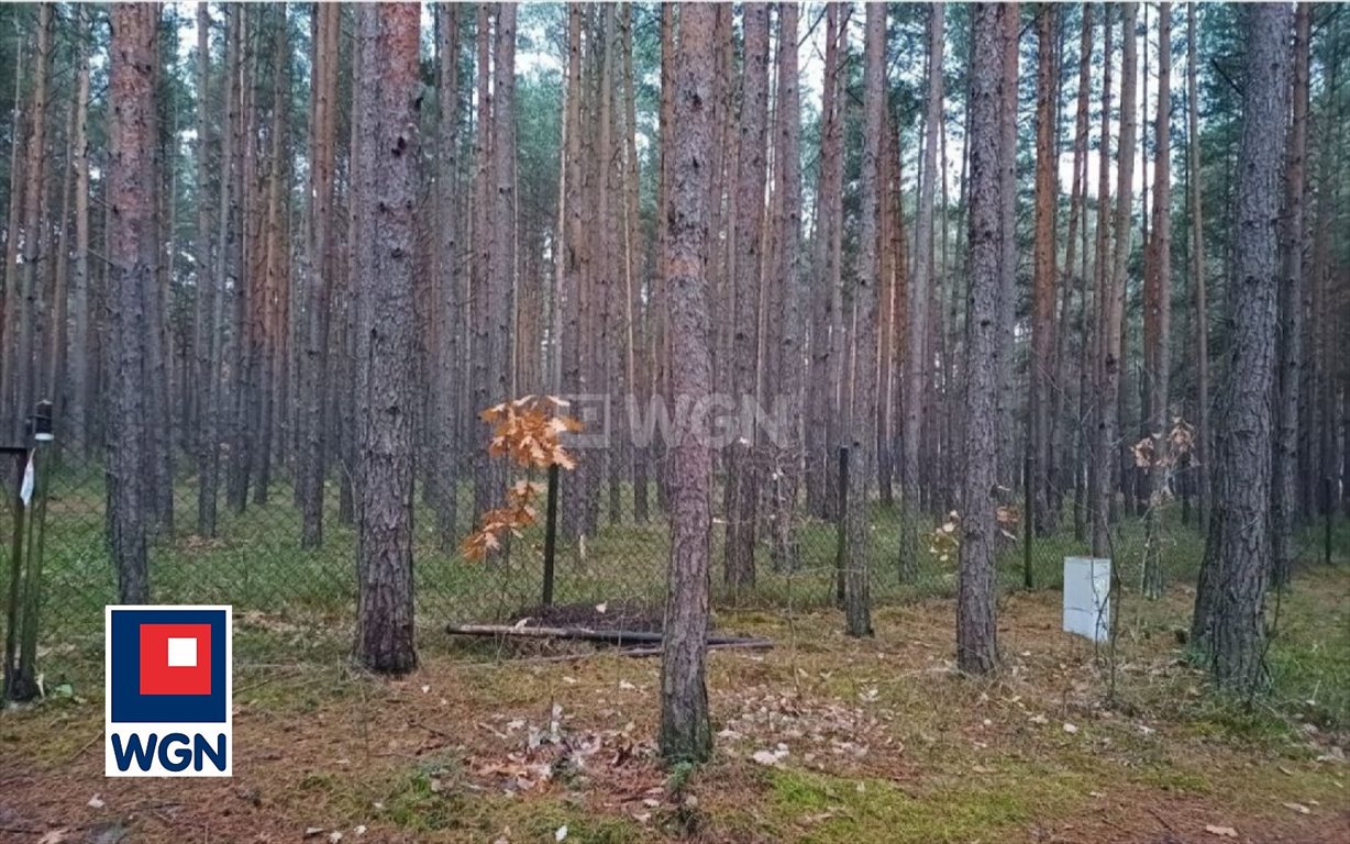 Działka budowlana na sprzedaż Żarki Letnisko, Kąpielowa  2 218m2 Foto 12