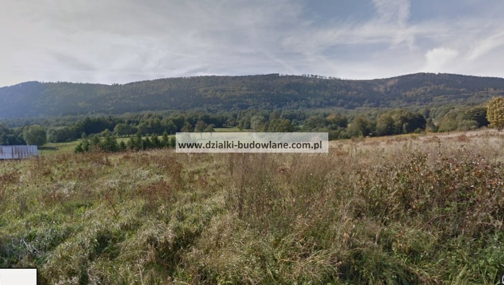 Działka rolna na sprzedaż Długopole-Zdrój  3 100m2 Foto 1
