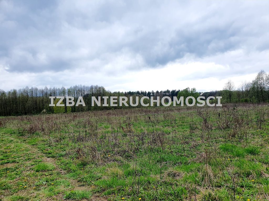 Działka rekreacyjna na sprzedaż Krokocie  3 000m2 Foto 14