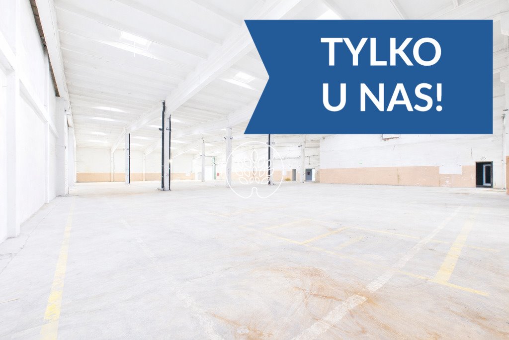 Magazyn 3 338 m² z wysoką nośnością i infrastrukturą Warszawa  3 339m2 Foto 1