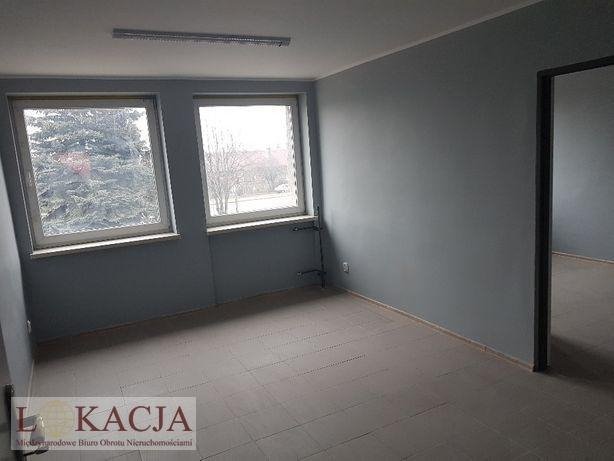 Lokal użytkowy na wynajem Kalisz  305m2 Foto 1