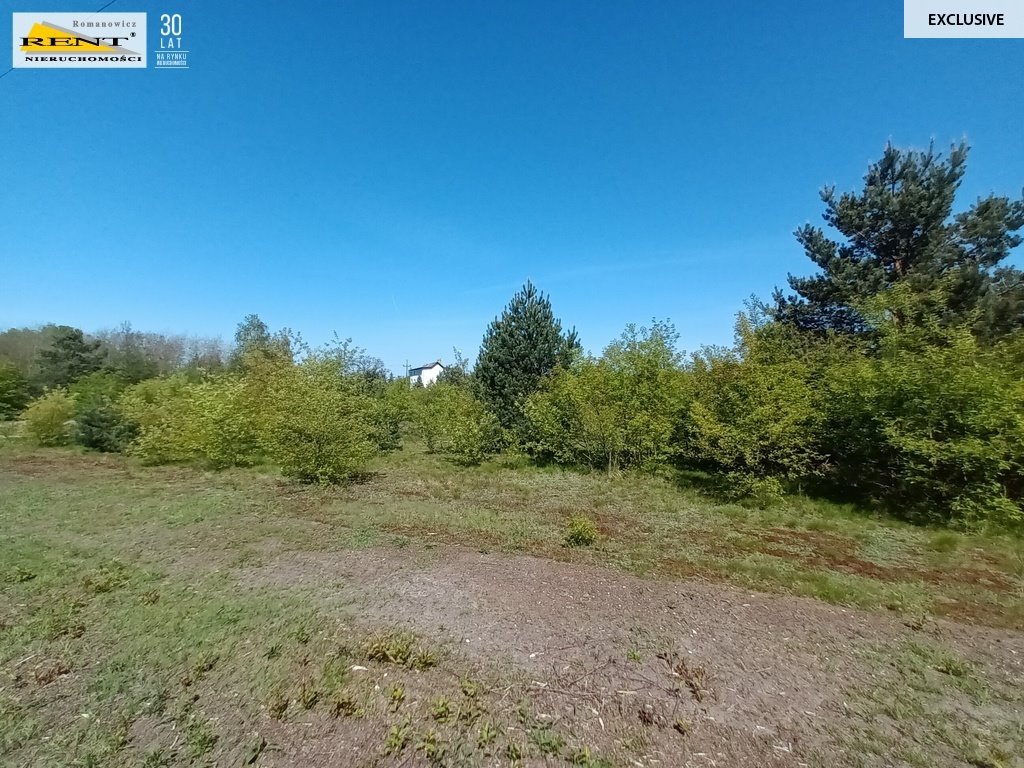 Działka budowlana na sprzedaż Szczecin, Borsucza  5 042m2 Foto 13