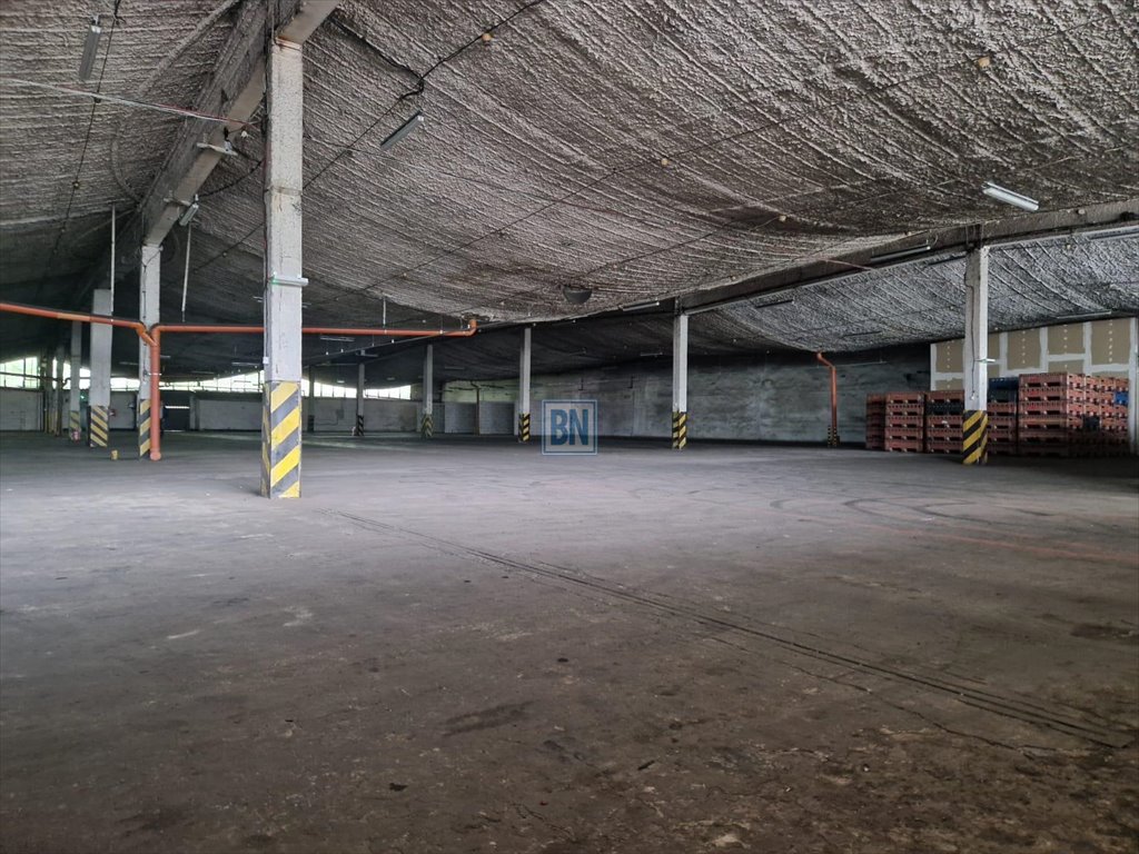 Lokal użytkowy na wynajem Zabrze  2 000m2 Foto 3