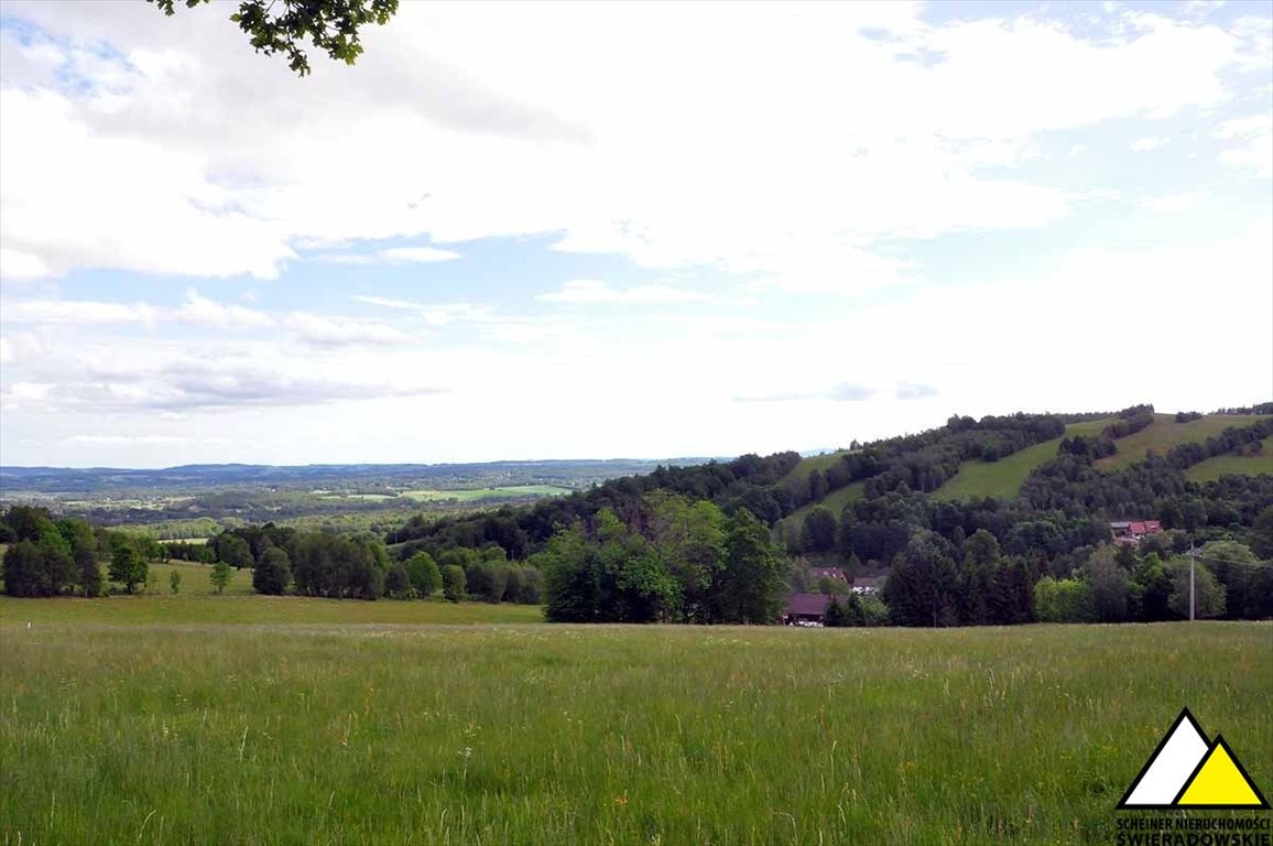 Działka budowlana na sprzedaż Gierczyn  9 700m2 Foto 9