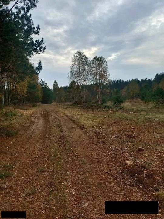 Działka budowlana na sprzedaż Gdańsk, Orunia-Św. Wojciech-Lipce  42 000m2 Foto 7