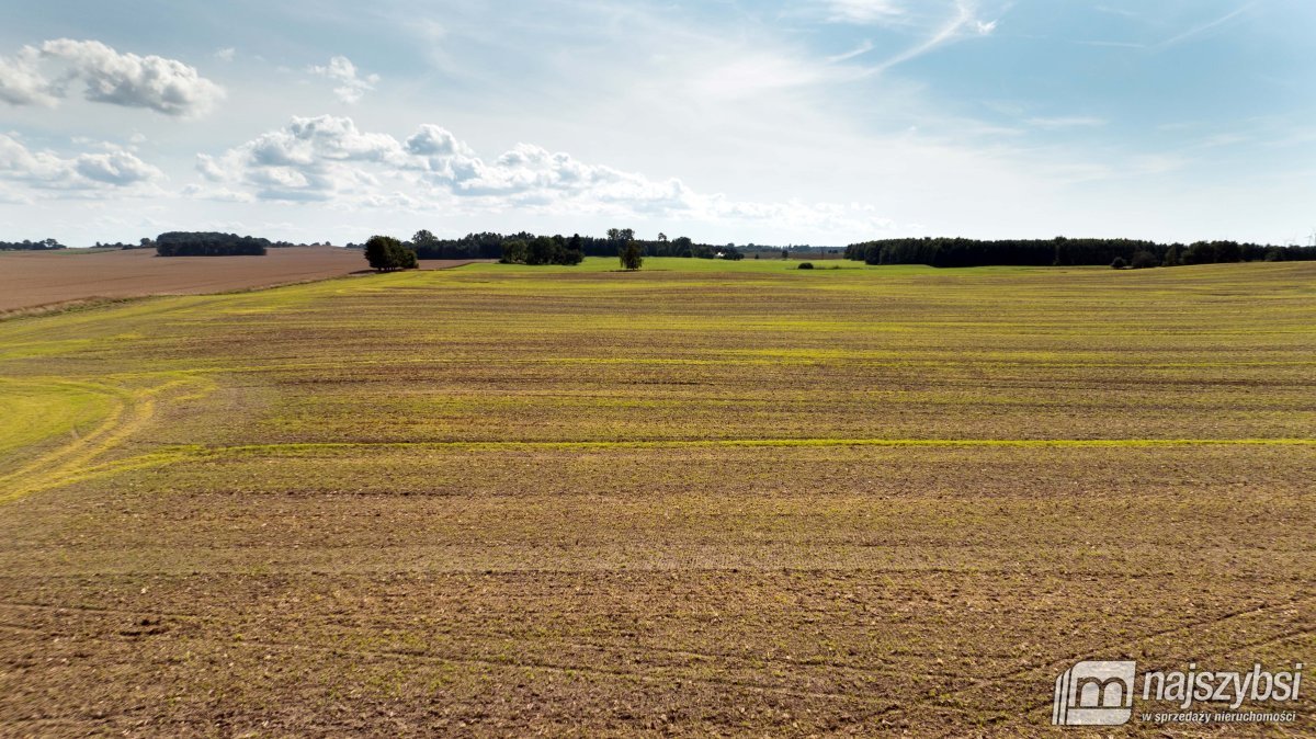 Działka budowlana na sprzedaż Gościno  1 143m2 Foto 4