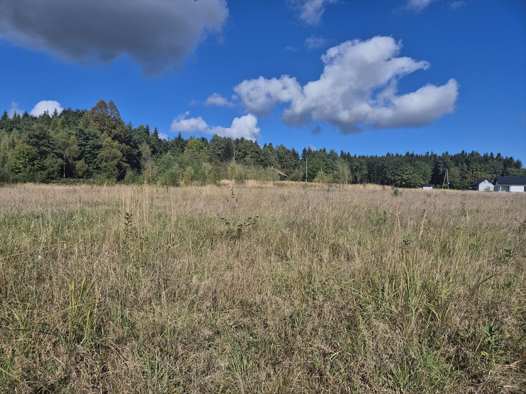 Działka budowlana na sprzedaż Harklowa  6 600m2 Foto 15