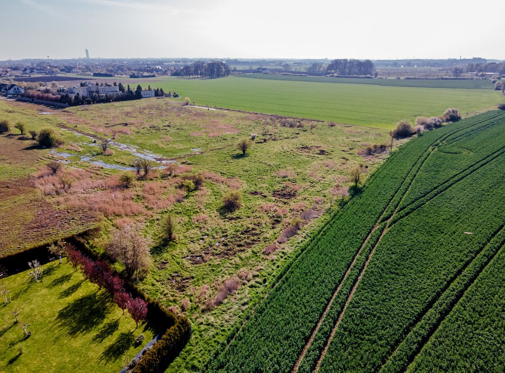 Działka siedliskowa na sprzedaż Mokronos Górny  1 500m2 Foto 6