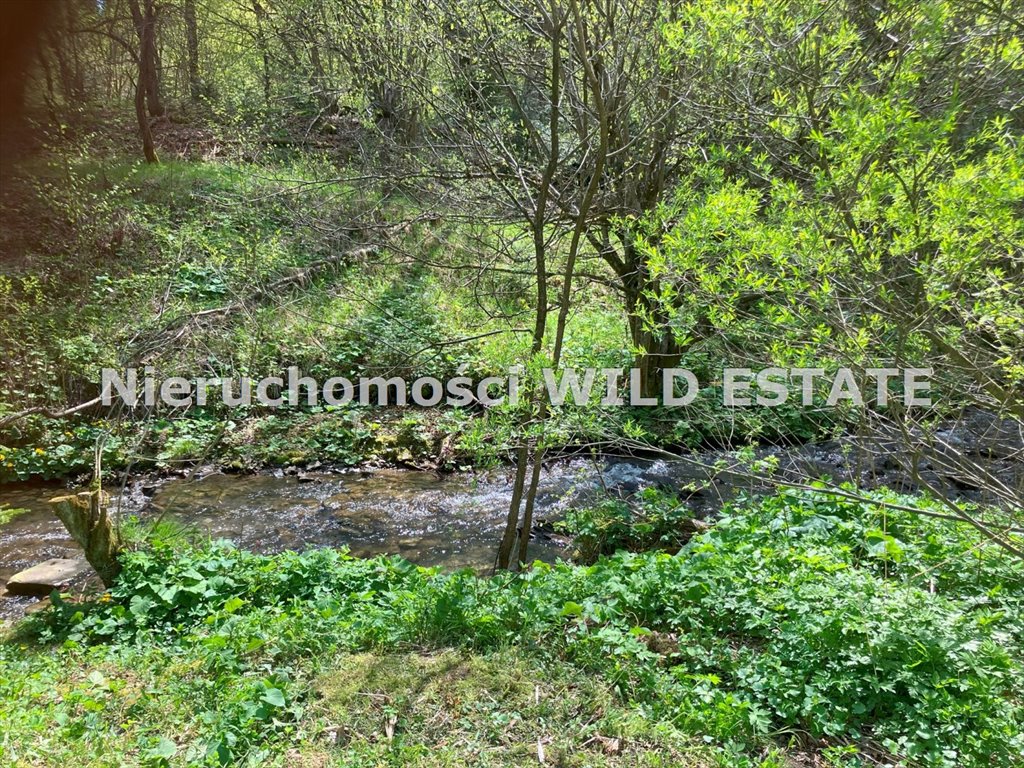 Dom na sprzedaż Cisna, Przysłup  508m2 Foto 5