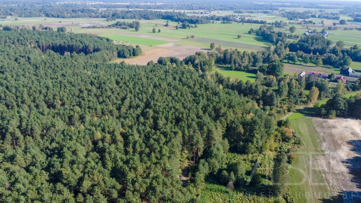 Działka leśna na sprzedaż Michałowo  36 000m2 Foto 11