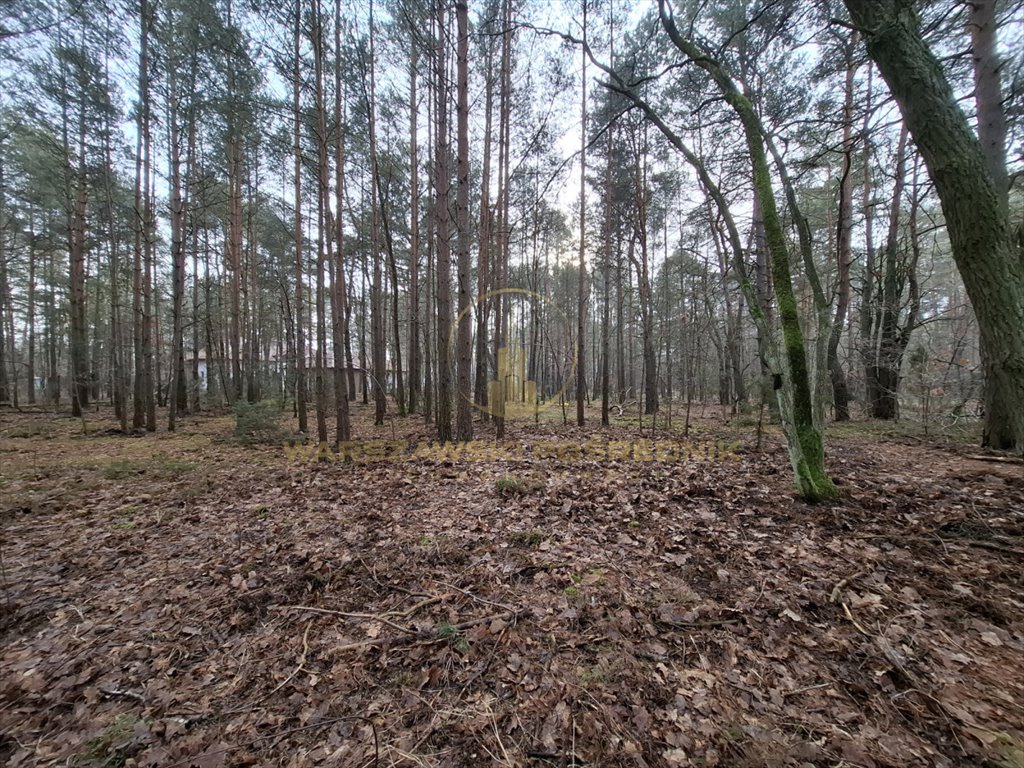 Działka budowlana na sprzedaż Izabelin C  1 958m2 Foto 9