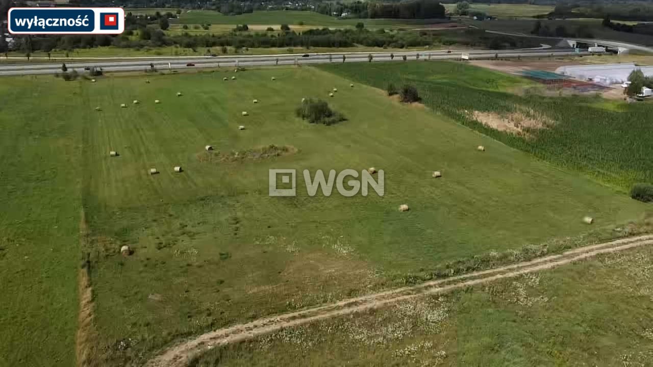 Działka inna na sprzedaż Konieczki  3 000m2 Foto 4