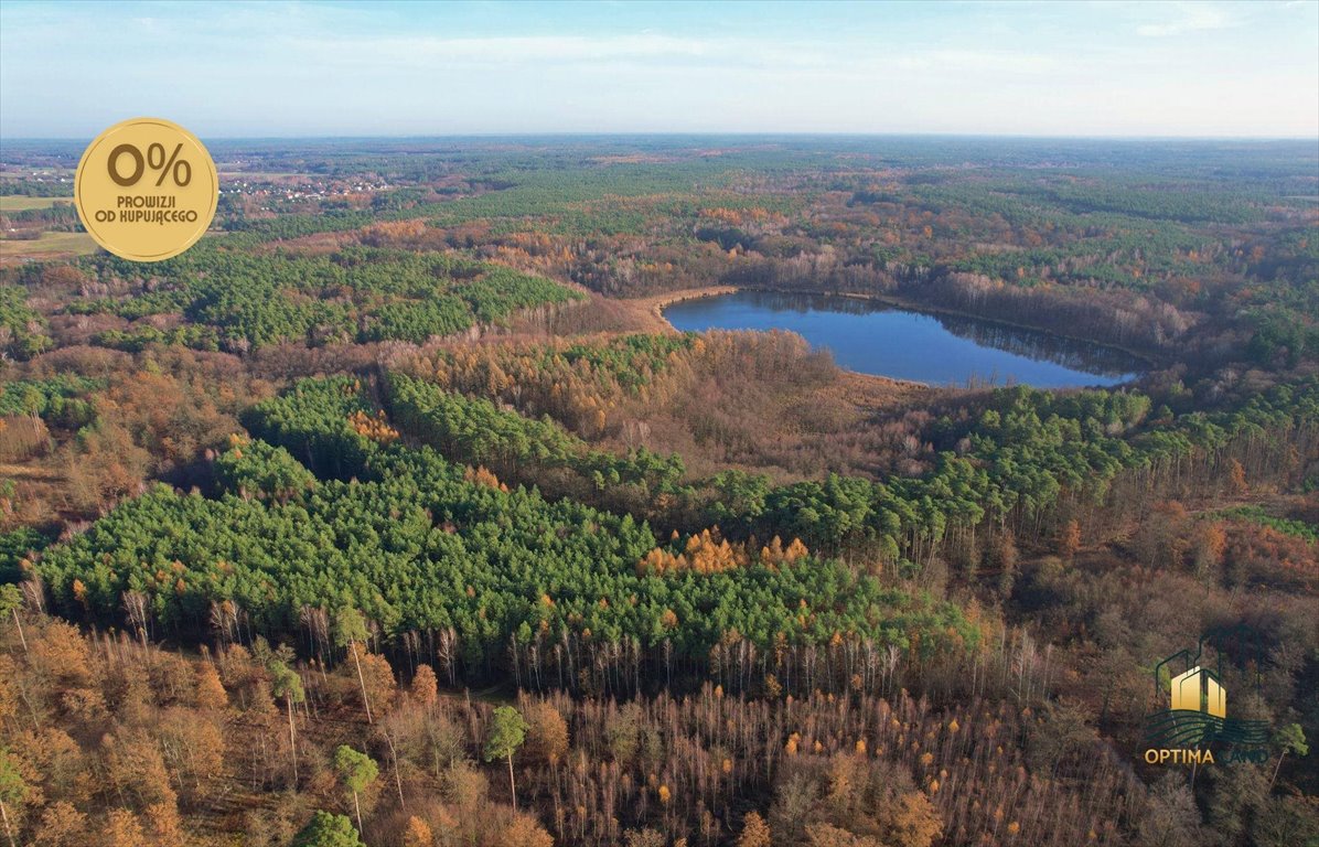 Działka budowlana na sprzedaż Bolechowo  1 326m2 Foto 1