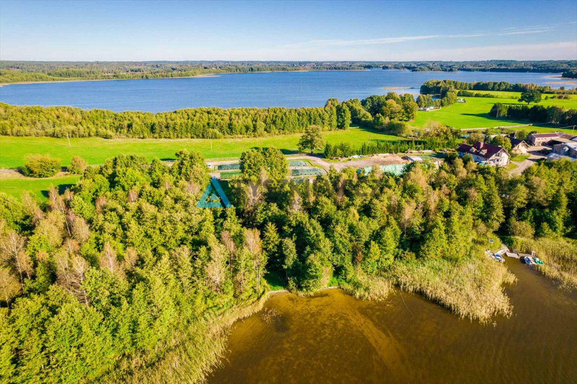 Działka budowlana na sprzedaż Peplin  4 000m2 Foto 5