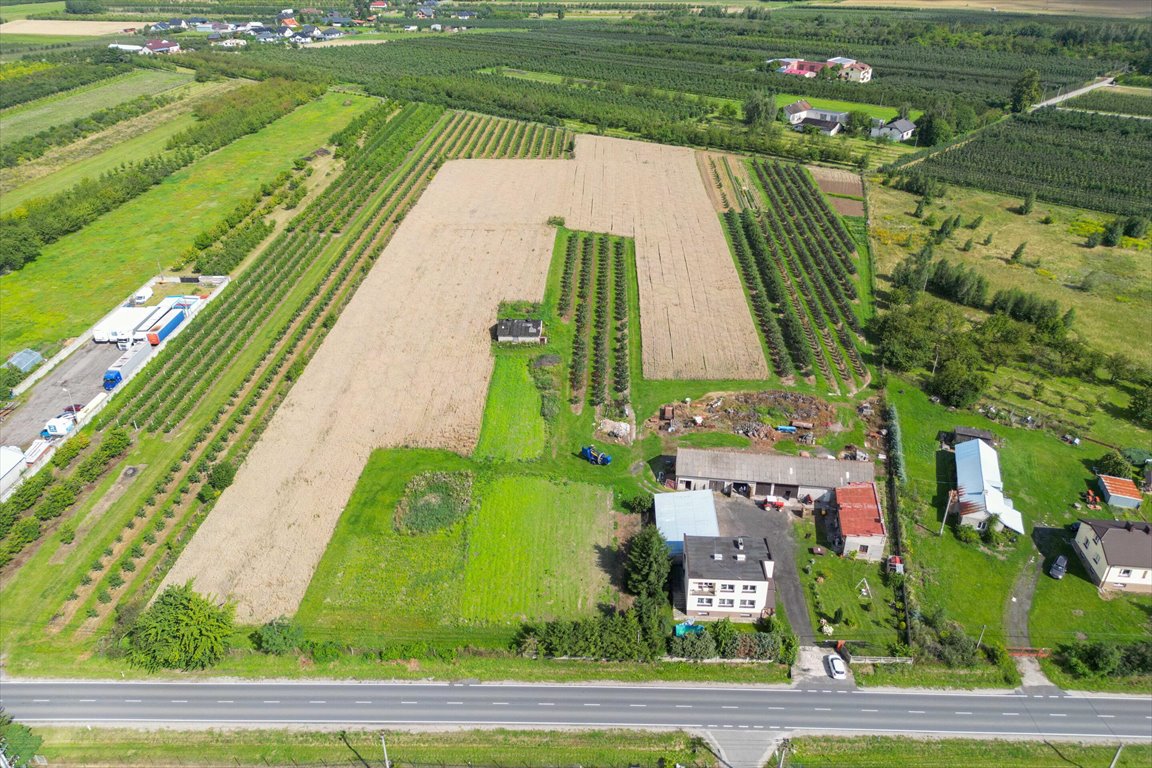 Działka rolna na sprzedaż Marianka, 1 Maja  14 799m2 Foto 1