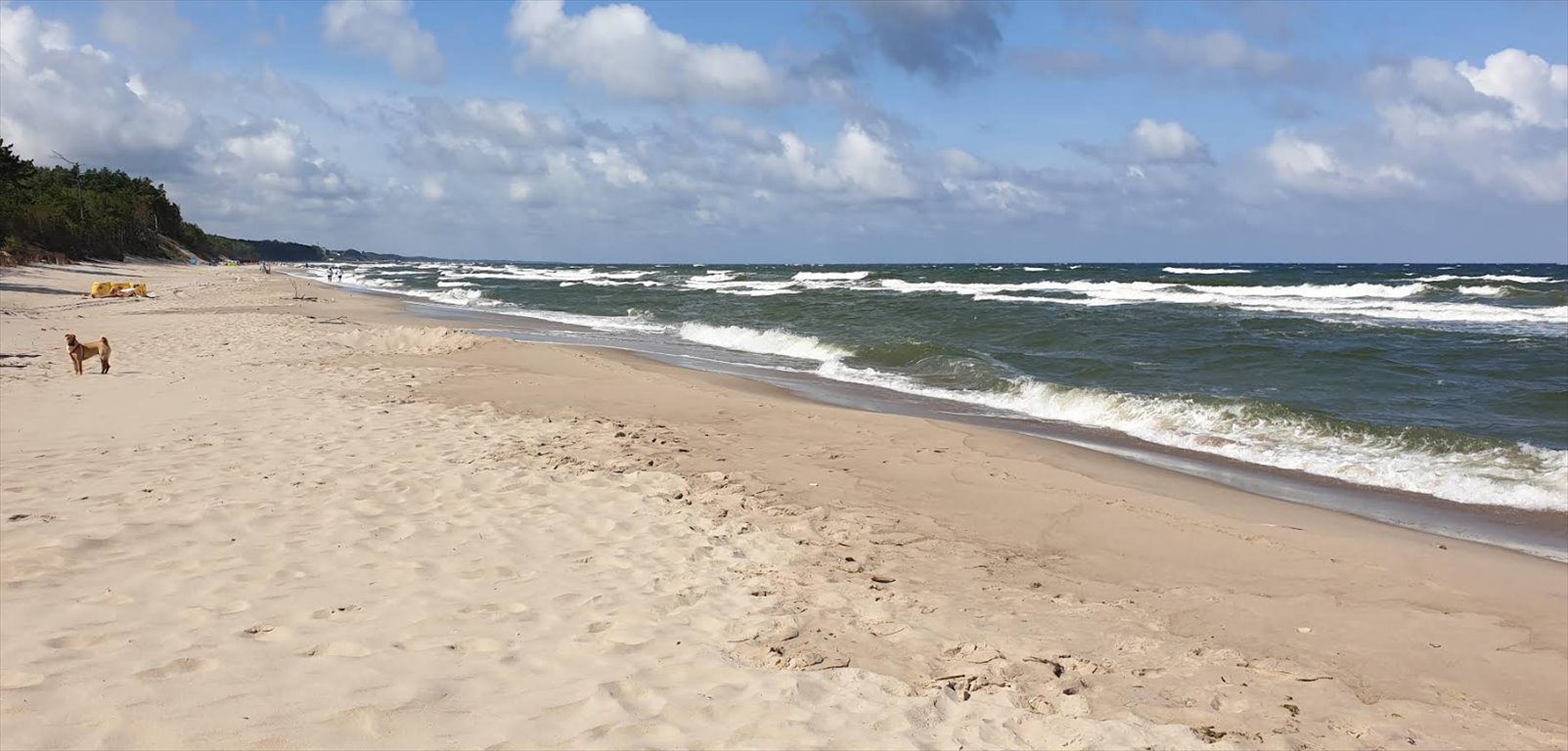 Działka rolna na sprzedaż Pleśna  749m2 Foto 11