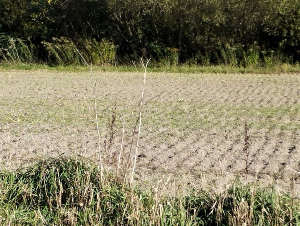 Działka budowlana na sprzedaż Rąbień  1 827m2 Foto 2