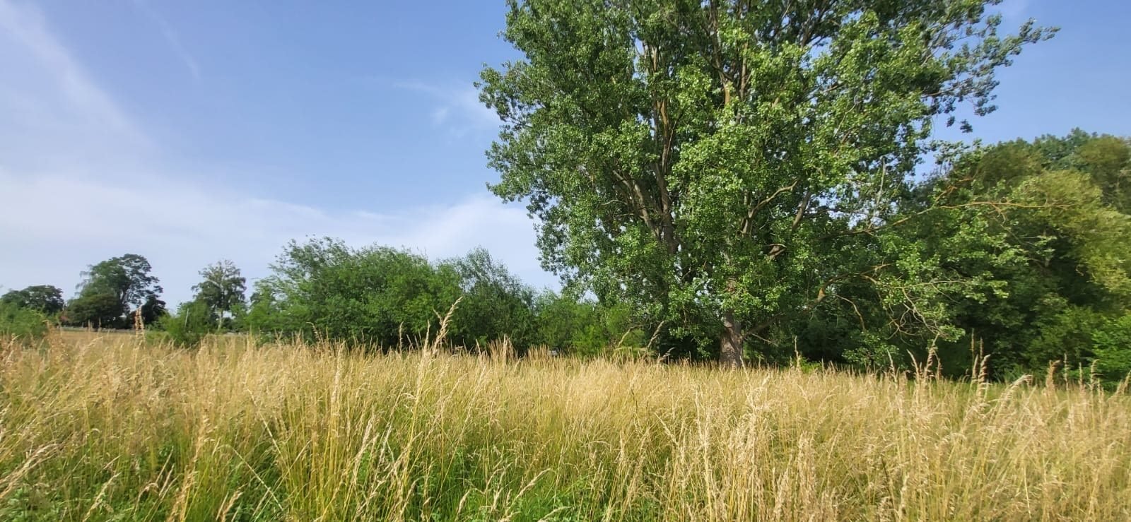 Działka inna na sprzedaż Strońsko  4 900m2 Foto 9