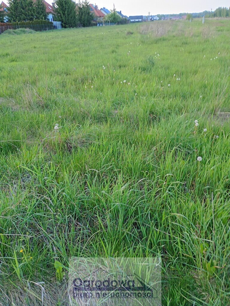 Działka 2100 m² z MPZP, media, las, cisza, Ustanów Ustanów  2 100m2 Foto 1
