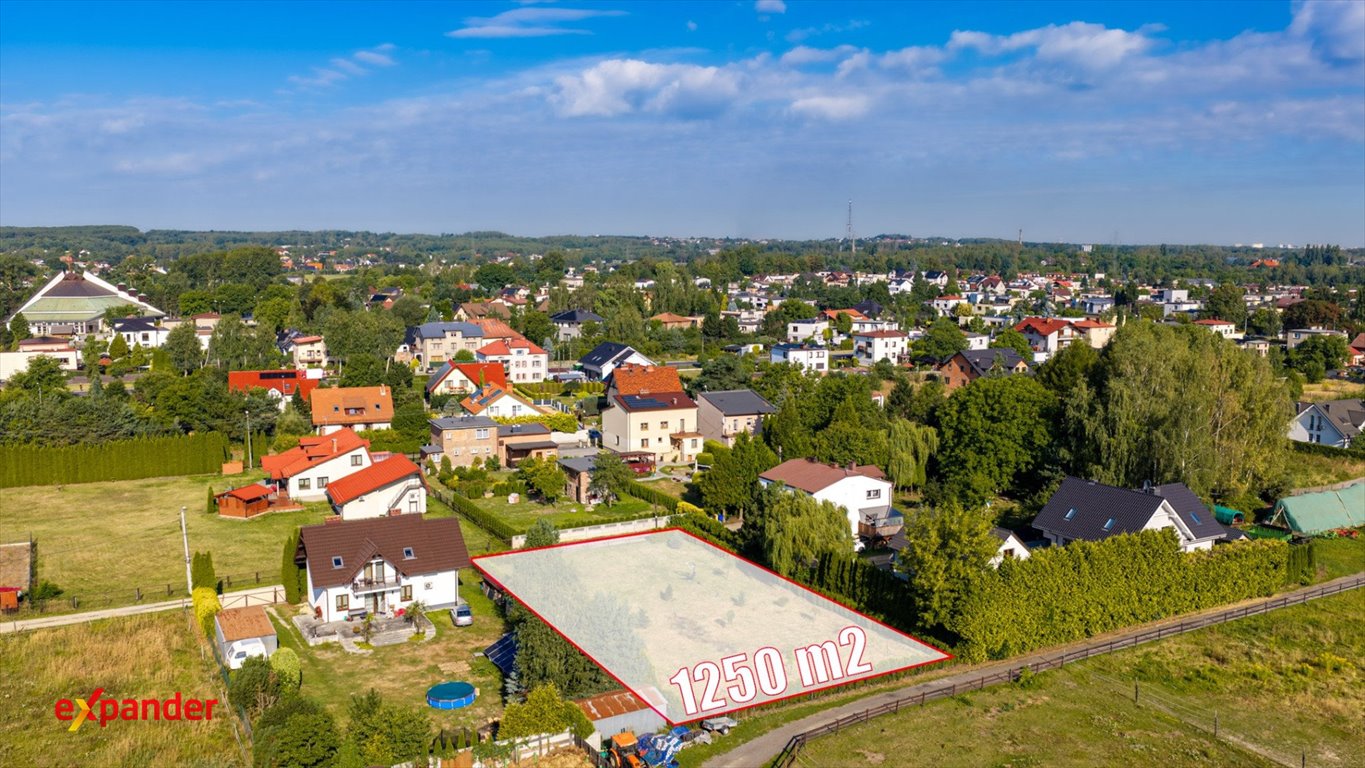 Zdjęcie 5