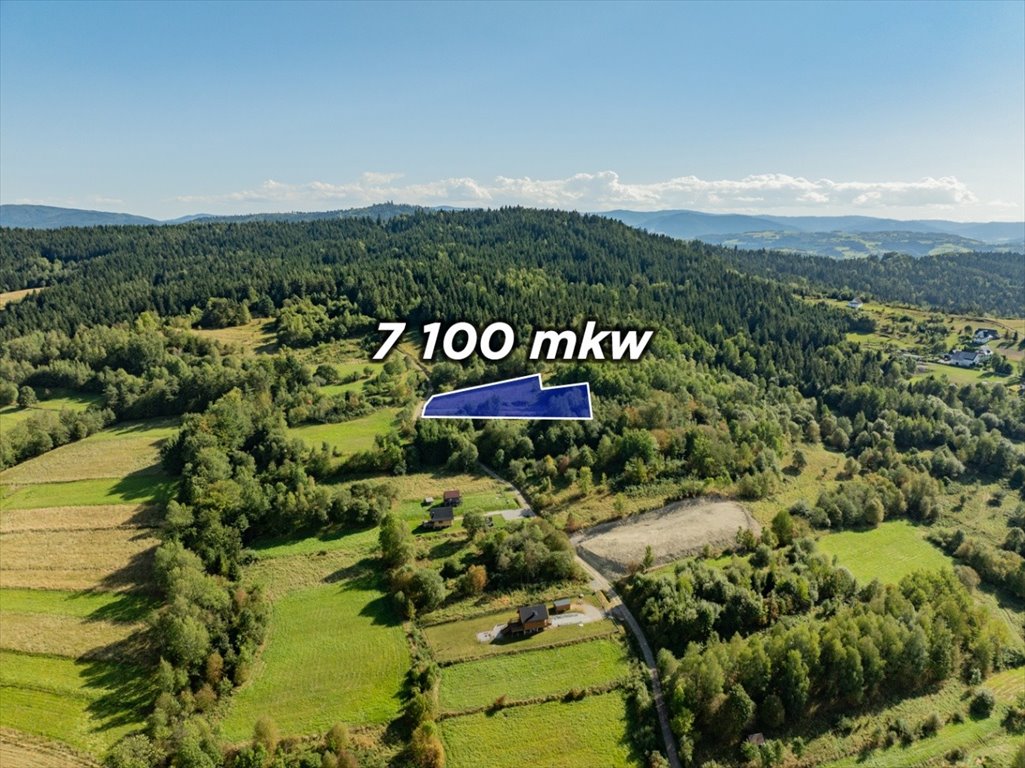 Zapraszam do zakupu działki 7100 m² z widokami w Kasina Wielka Kasina Wielka  7 100m2 Foto 1