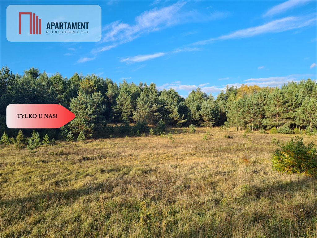 Działka budowlana na sprzedaż Tuszkowy  1 000m2 Foto 4