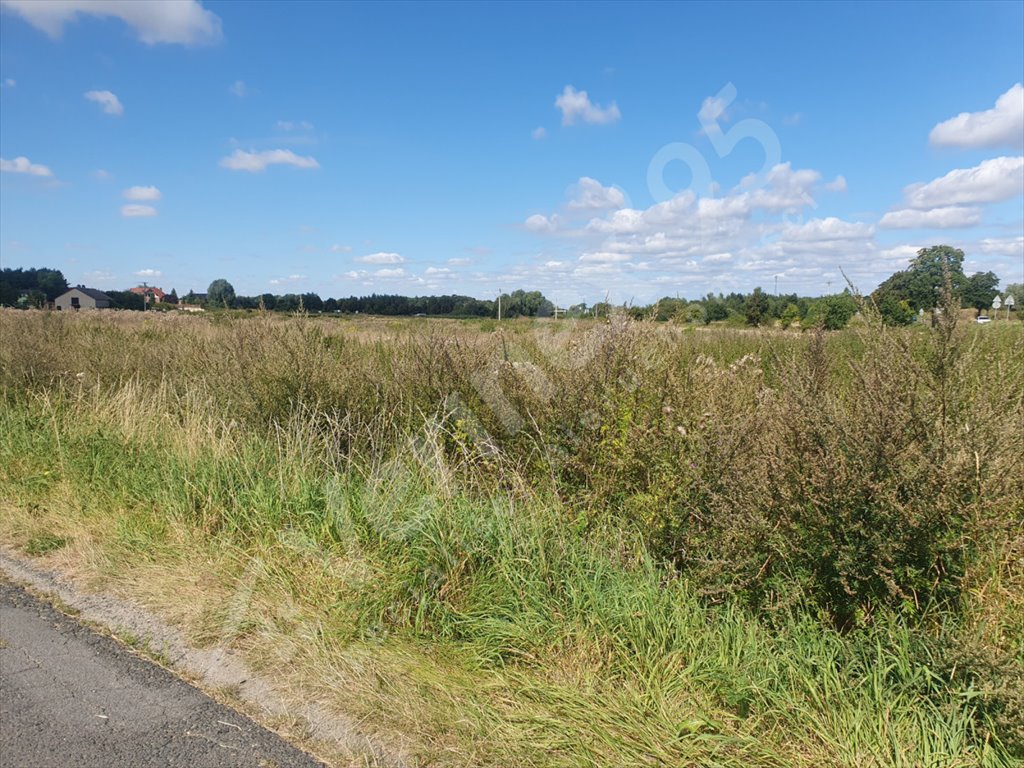 Działka budowlana na sprzedaż Wilczków  1 251m2 Foto 1