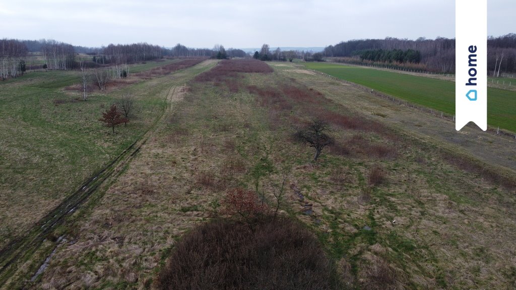 Działka inna na sprzedaż Rzeszów  1 650m2 Foto 3