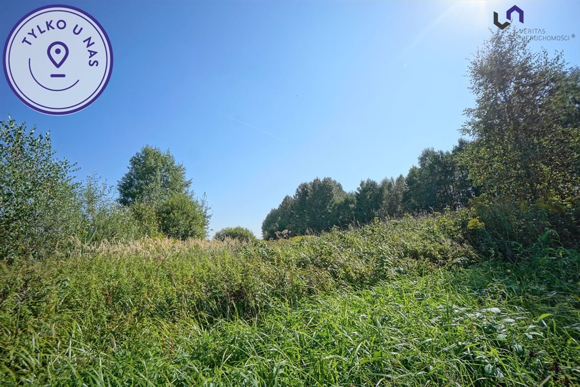 Działka rolna 4731 m² w Błędowie – inwestycja i kapitał Dąbrowa Górnicza, Błędów, Sztorcowa  4 731m2 Foto 1