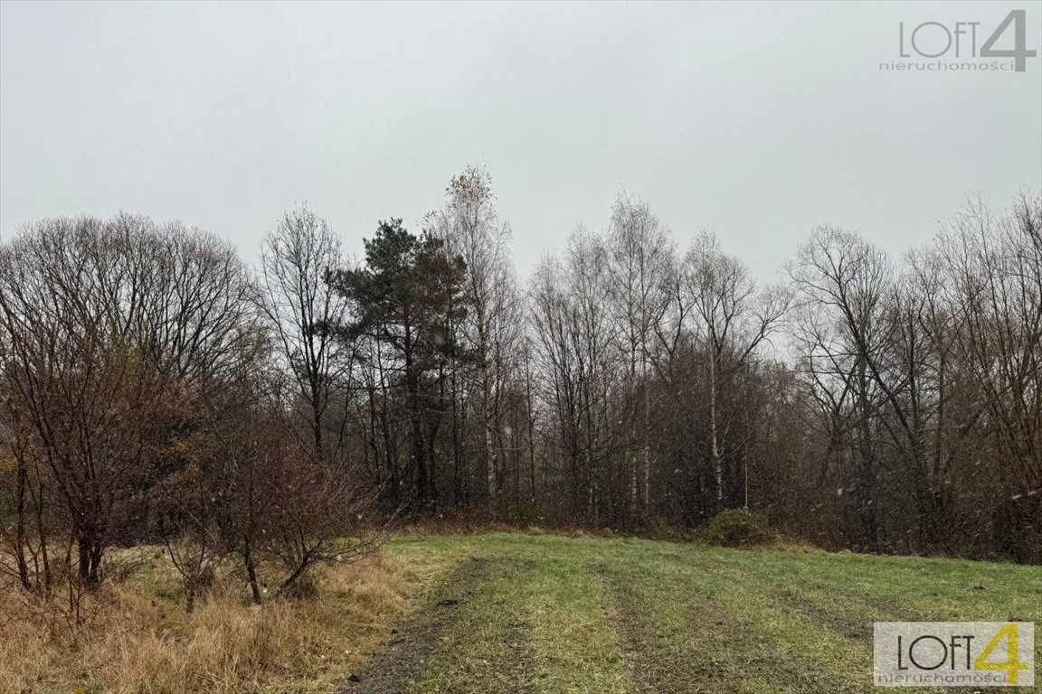 Działka inna na sprzedaż Mystków  4 000m2 Foto 1