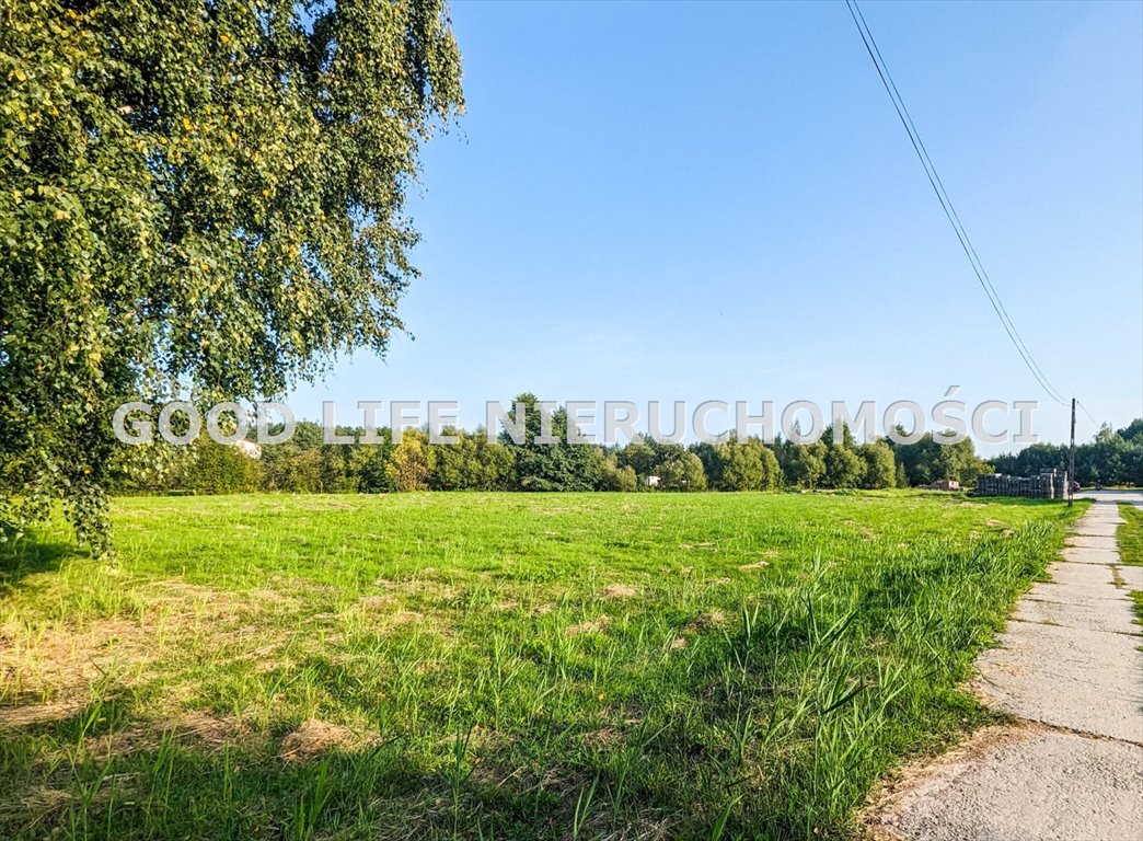 Lokal użytkowy na sprzedaż Wysoka Głogowska  36 300m2 Foto 9