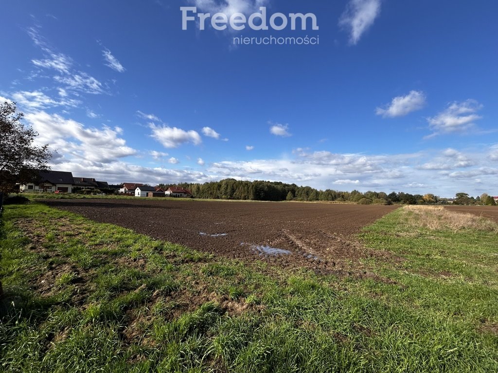 Działka rolna na sprzedaż Polanka Wielka, Spacerowa  5 488m2 Foto 3