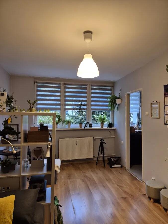 Kawalerka na sprzedaż Mikołów, C. K. Norwida  30m2 Foto 1