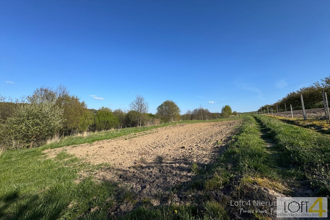Zapraszam do obejrzenia działki 6300 m² pod zabudowę w Łysej Górze Łysa Góra  6 300m2 Foto 1