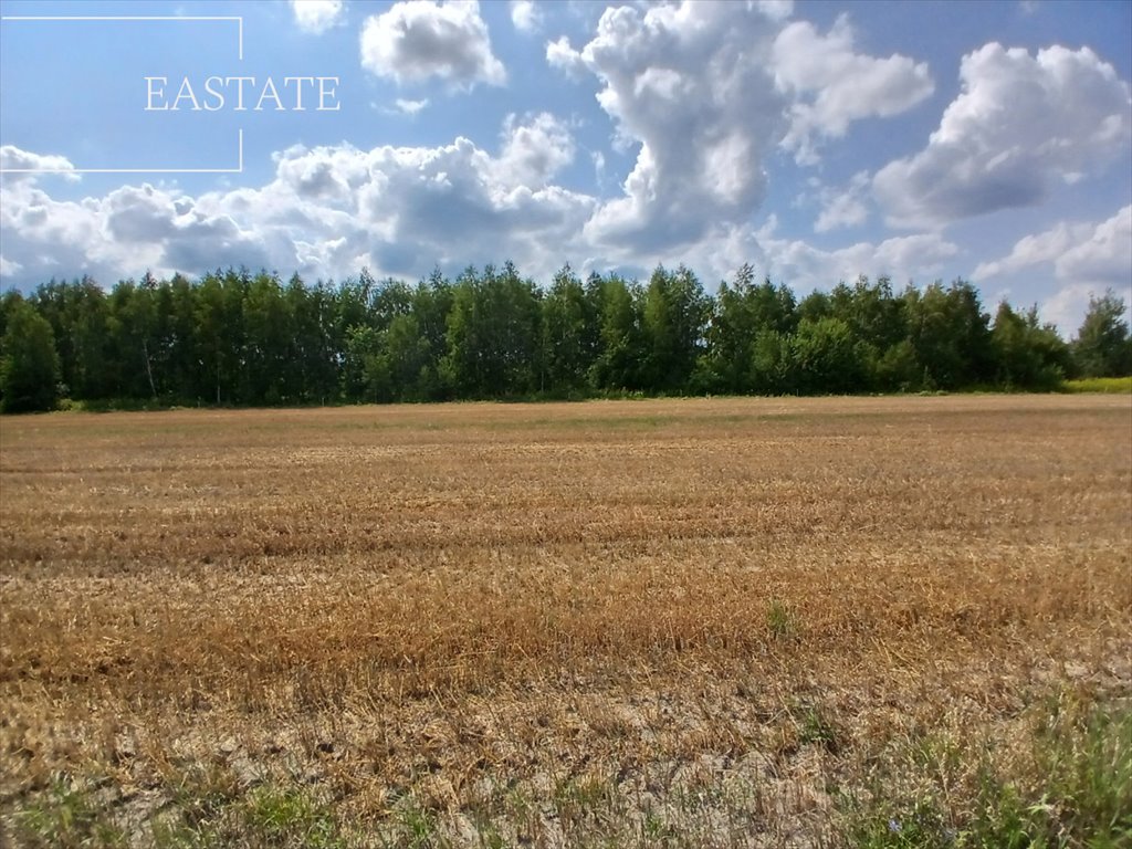 Działka budowlana na sprzedaż Krze Duże  5 700m2 Foto 5