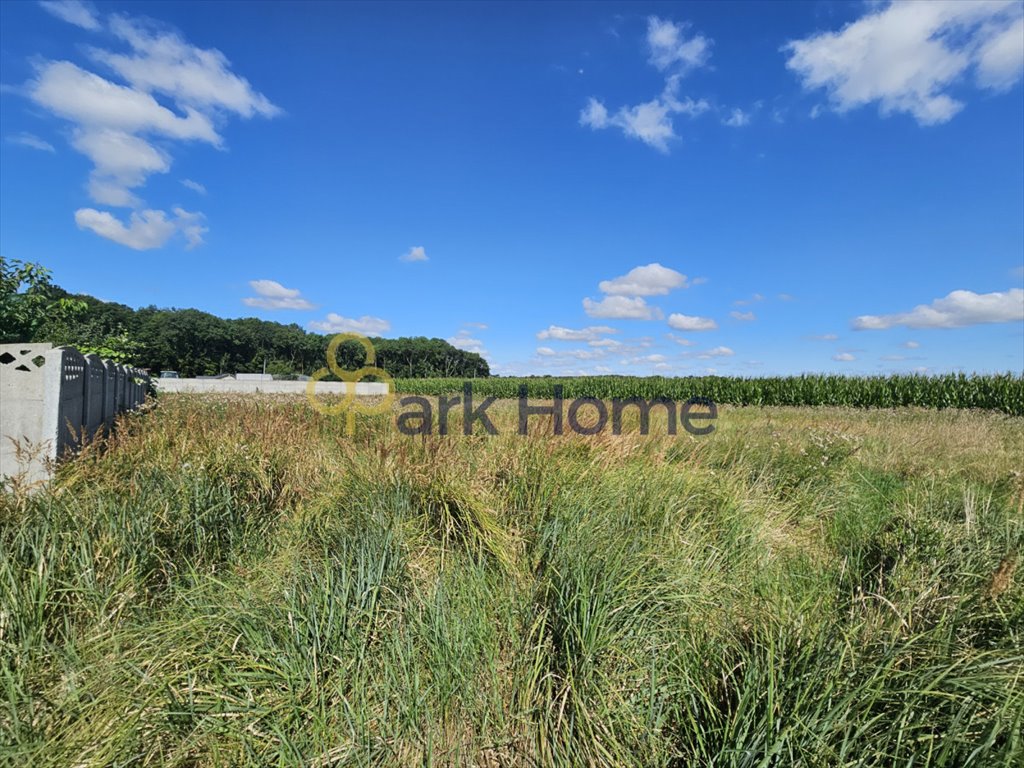 Działka budowlana na sprzedaż Bonikowo  696m2 Foto 4