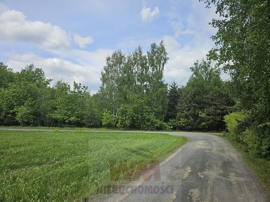 Działka 6967 m² z możliwością podziału, las, cisza - zapraszam Pniewy  6 967m2 Foto 1