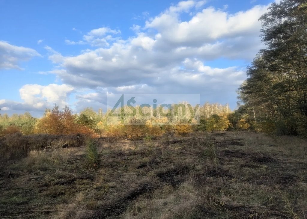Działka budowlana 2506 m² z prądem i wodą - Żółwin Żółwin  2 506m2 Foto 1