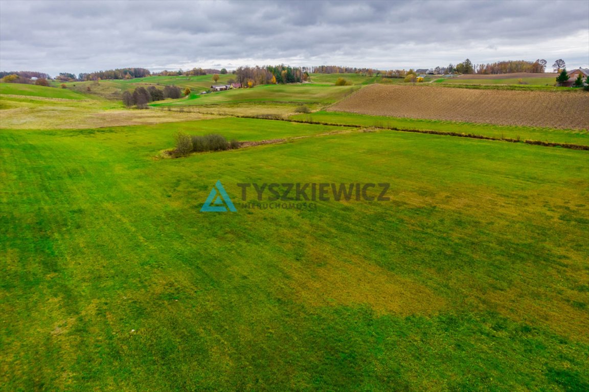 Działka rolna na sprzedaż Połęczyno  11 600m2 Foto 11