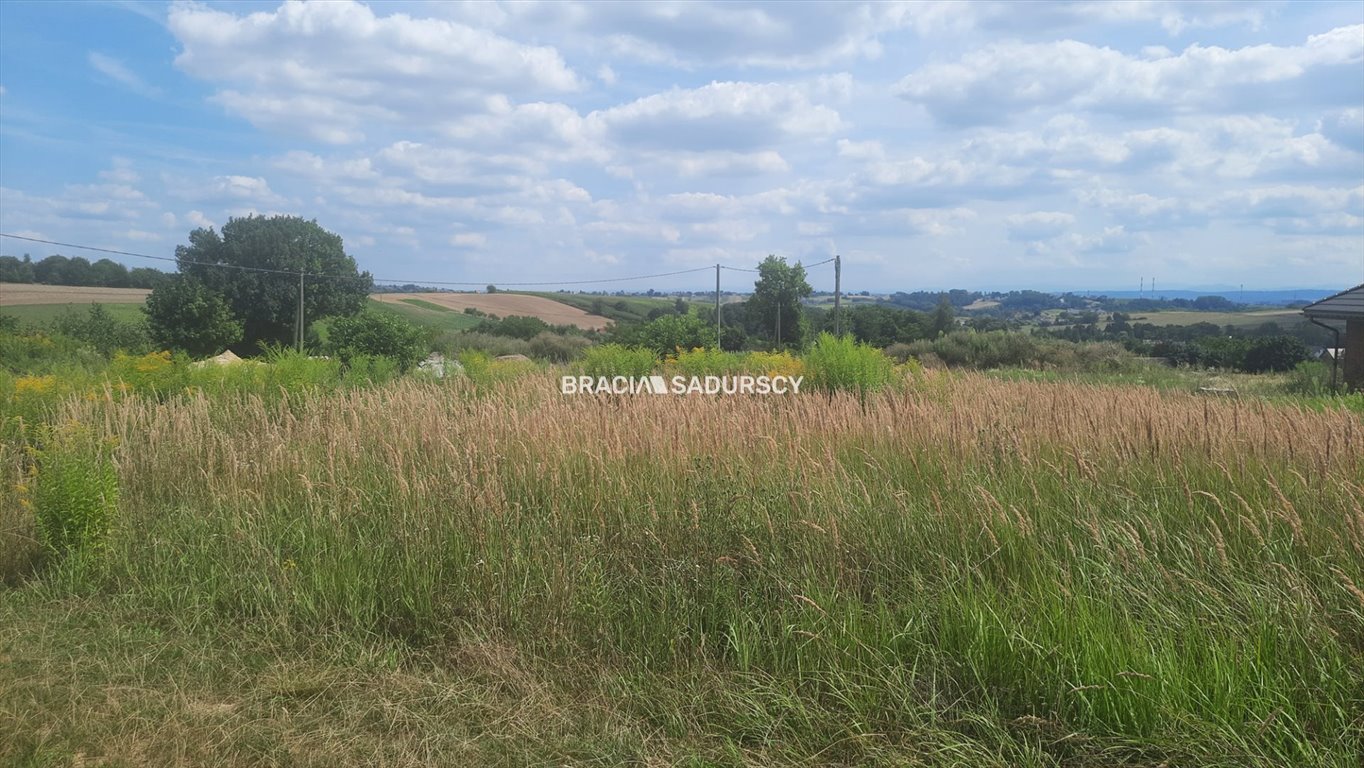 Działka budowlana na sprzedaż Kocmyrzów-Luborzyca, Maciejowice  4 460m2 Foto 18