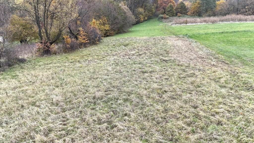 Działka inna na sprzedaż Nowy Borek  1 852m2 Foto 6