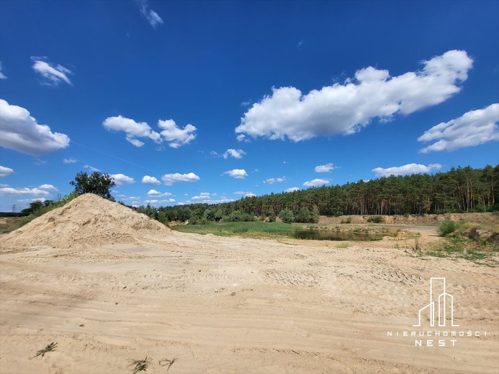 Działka budowlana na sprzedaż Szamotuły, Chrustowo  9 054m2 Foto 5