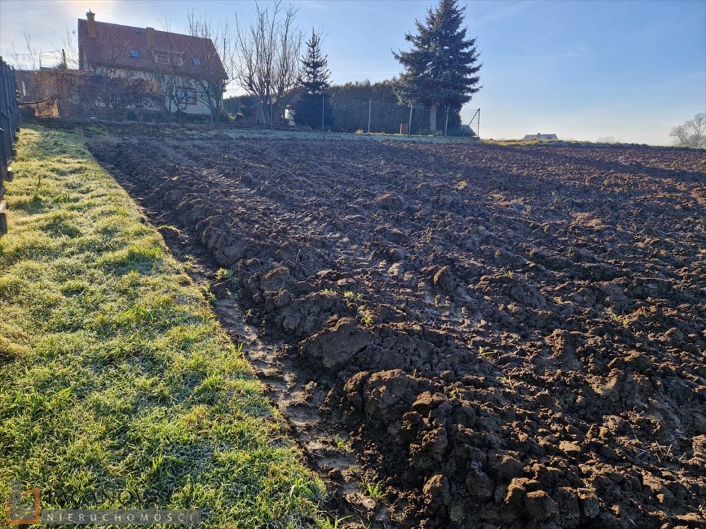 Działka budowlana na sprzedaż Wilków  600m2 Foto 4