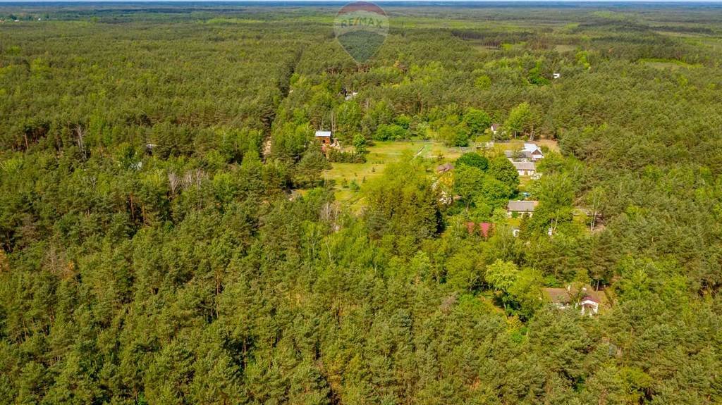 Działka leśna z prawem budowy na sprzedaż Rynia, Ignacego Paderewskiego  4 461m2 Foto 9