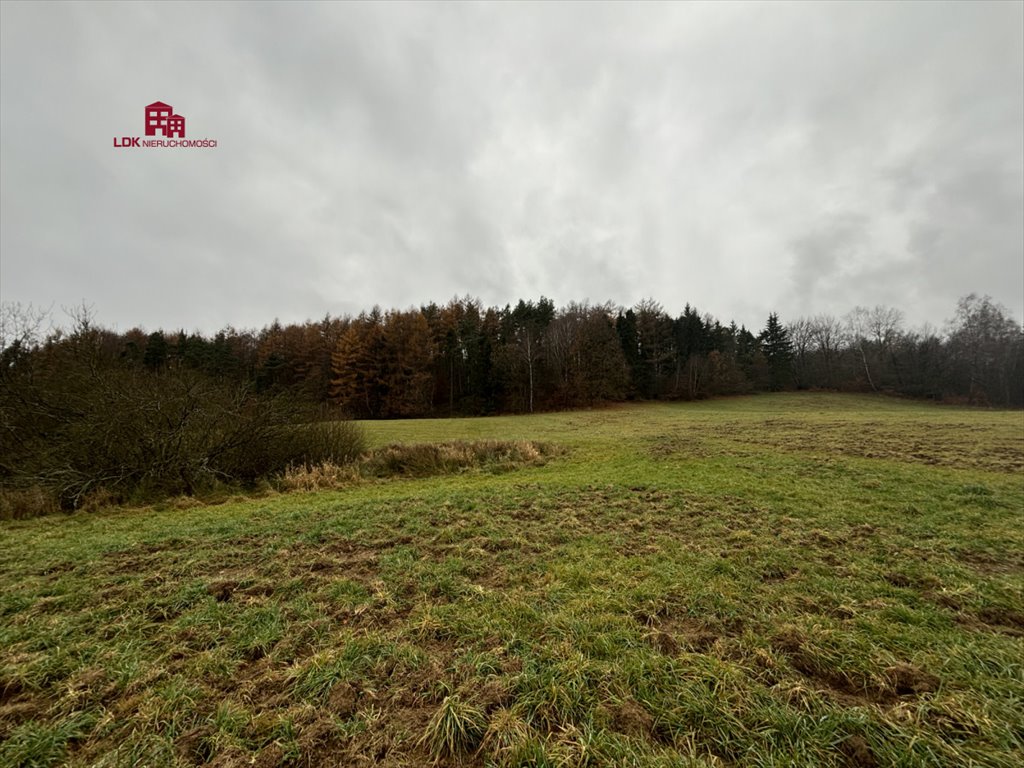 Działka budowlana na sprzedaż Mierzeszyn, Wolności  3 100m2 Foto 9